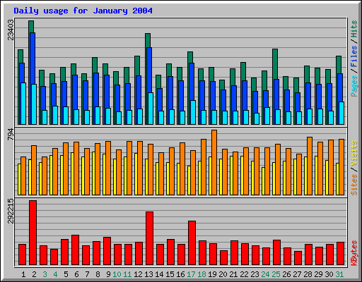 Daily usage for January 2004