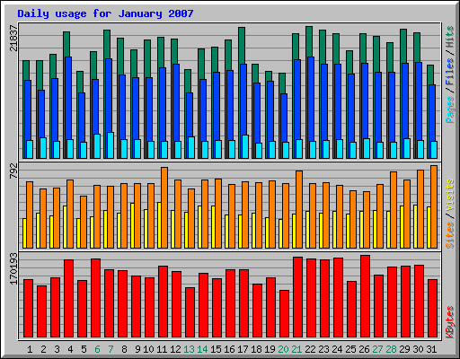 Daily usage for January 2007