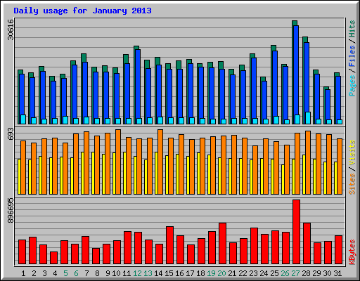 Daily usage for January 2013