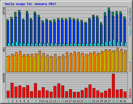 Daily usage for January 2017