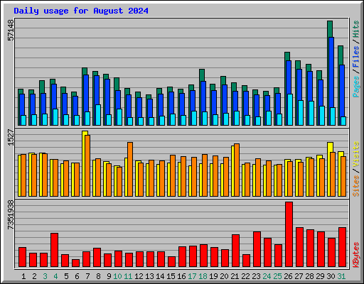 Daily usage for August 2024