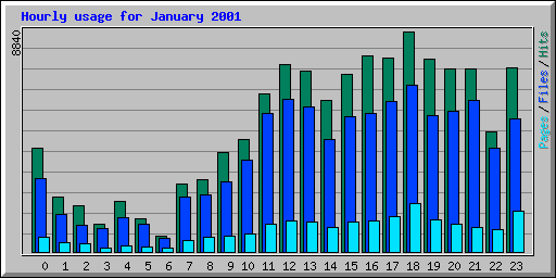 Hourly usage for January 2001