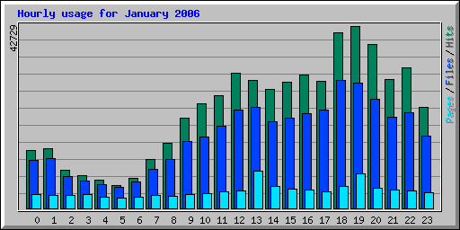 Hourly usage for January 2006