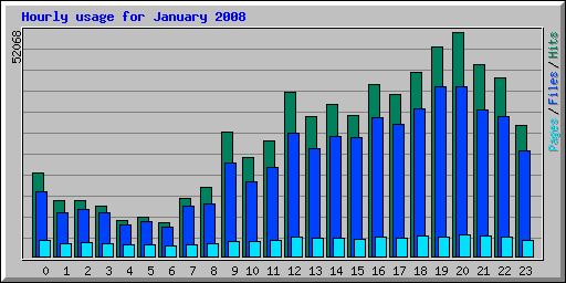 Hourly usage for January 2008