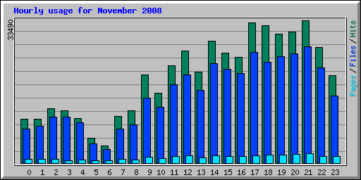 Hourly usage for November 2008