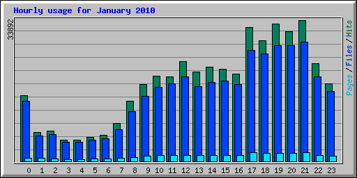 Hourly usage for January 2010