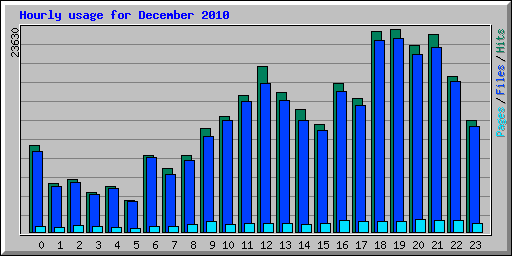 Hourly usage for December 2010