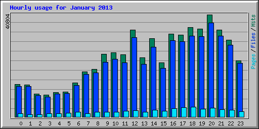 Hourly usage for January 2013