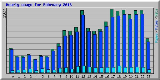 Hourly usage for February 2013