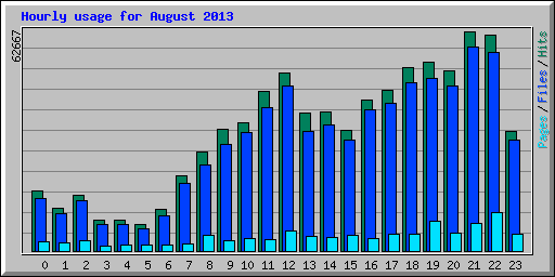 Hourly usage for August 2013