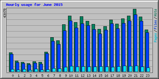 Hourly usage for June 2015