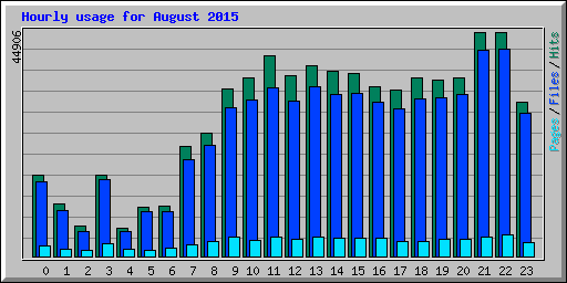 Hourly usage for August 2015