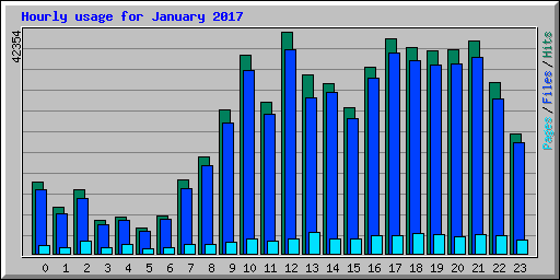 Hourly usage for January 2017