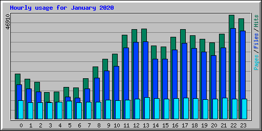 Hourly usage for January 2020