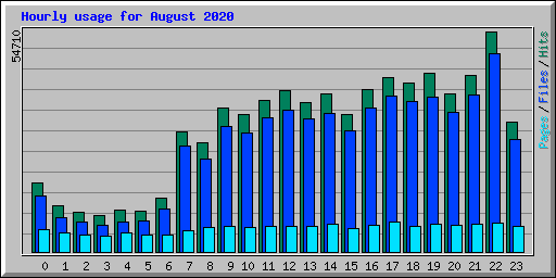 Hourly usage for August 2020