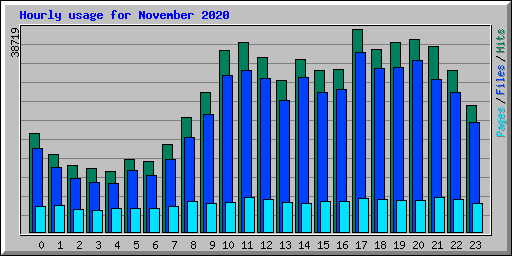 Hourly usage for November 2020