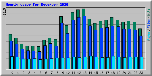 Hourly usage for December 2020