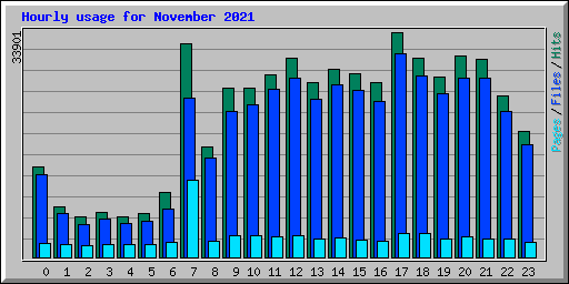 Hourly usage for November 2021