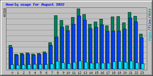 Hourly usage for August 2022