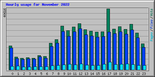 Hourly usage for November 2022