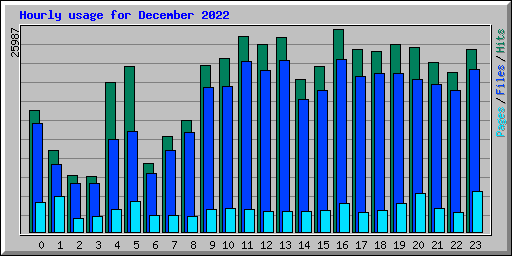 Hourly usage for December 2022