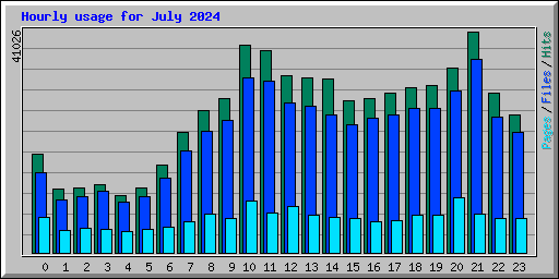 Hourly usage for July 2024