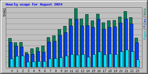 Hourly usage for August 2024