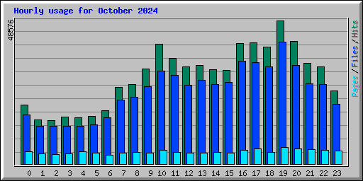 Hourly usage for October 2024